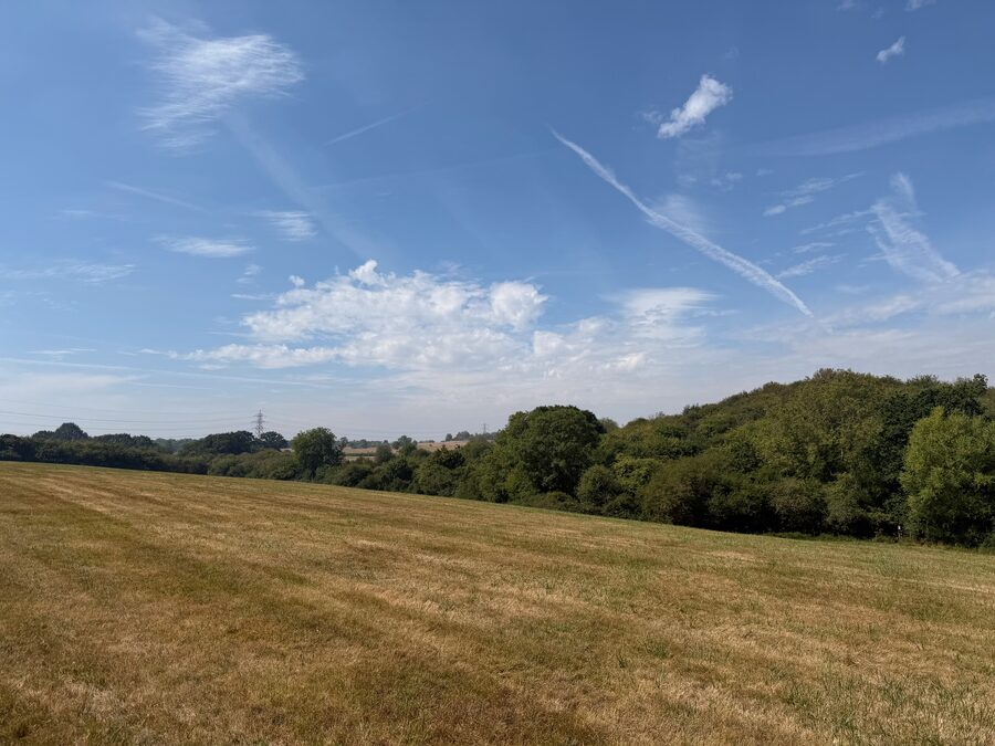 Current countryside around Woodlands