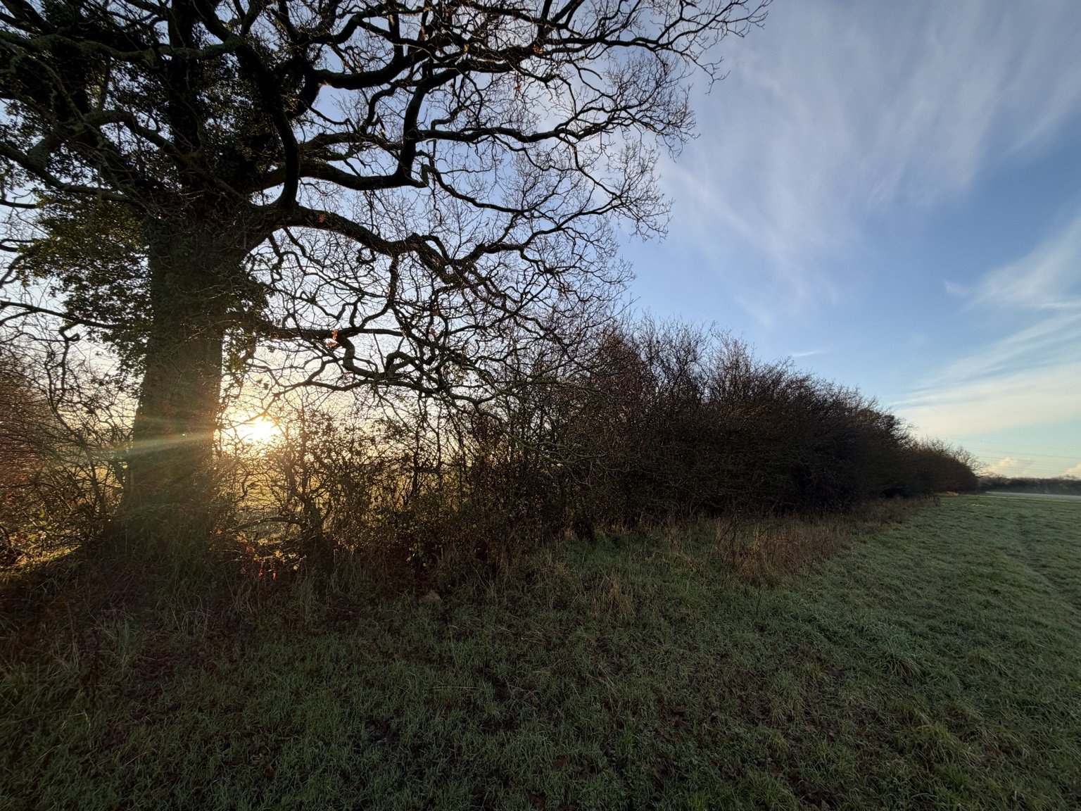 Open rural landscape and mature hedgerows at Woodlands